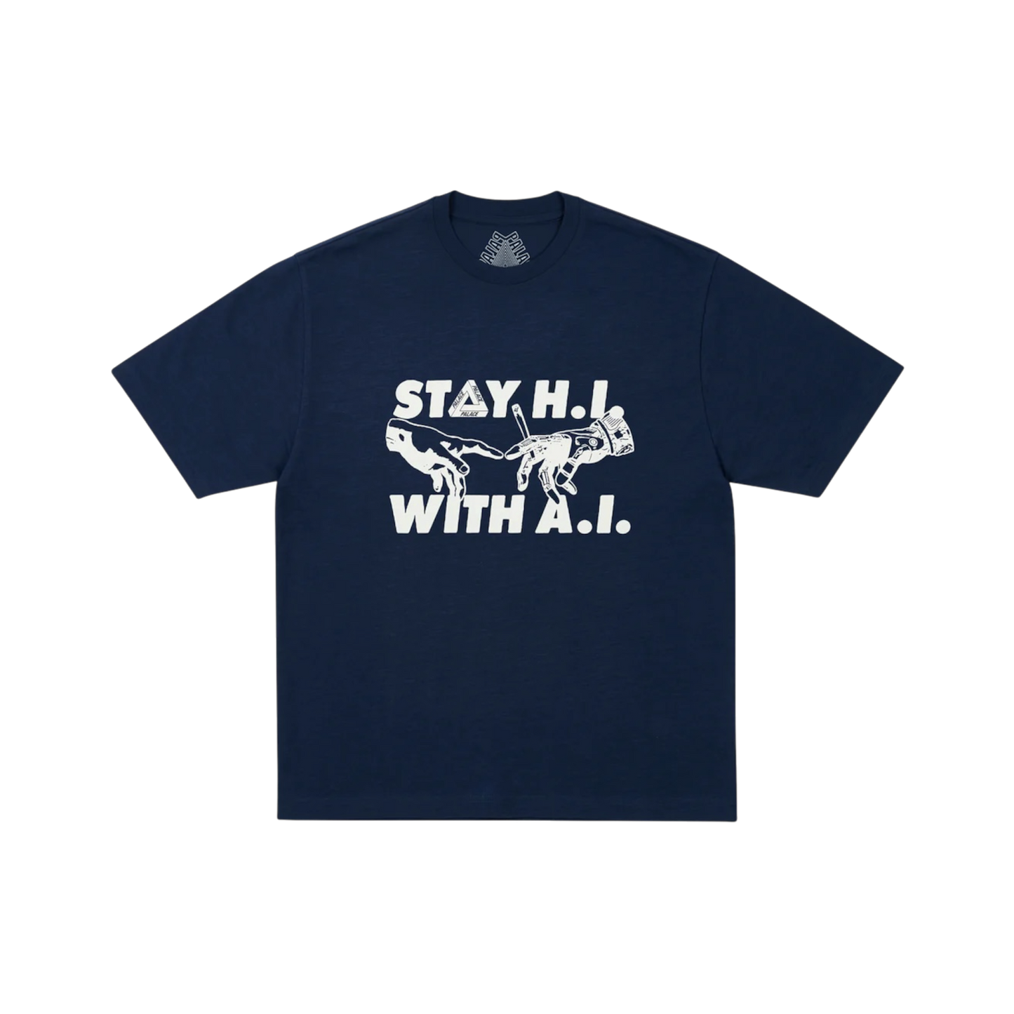 Palace Indica T-shirt / Black