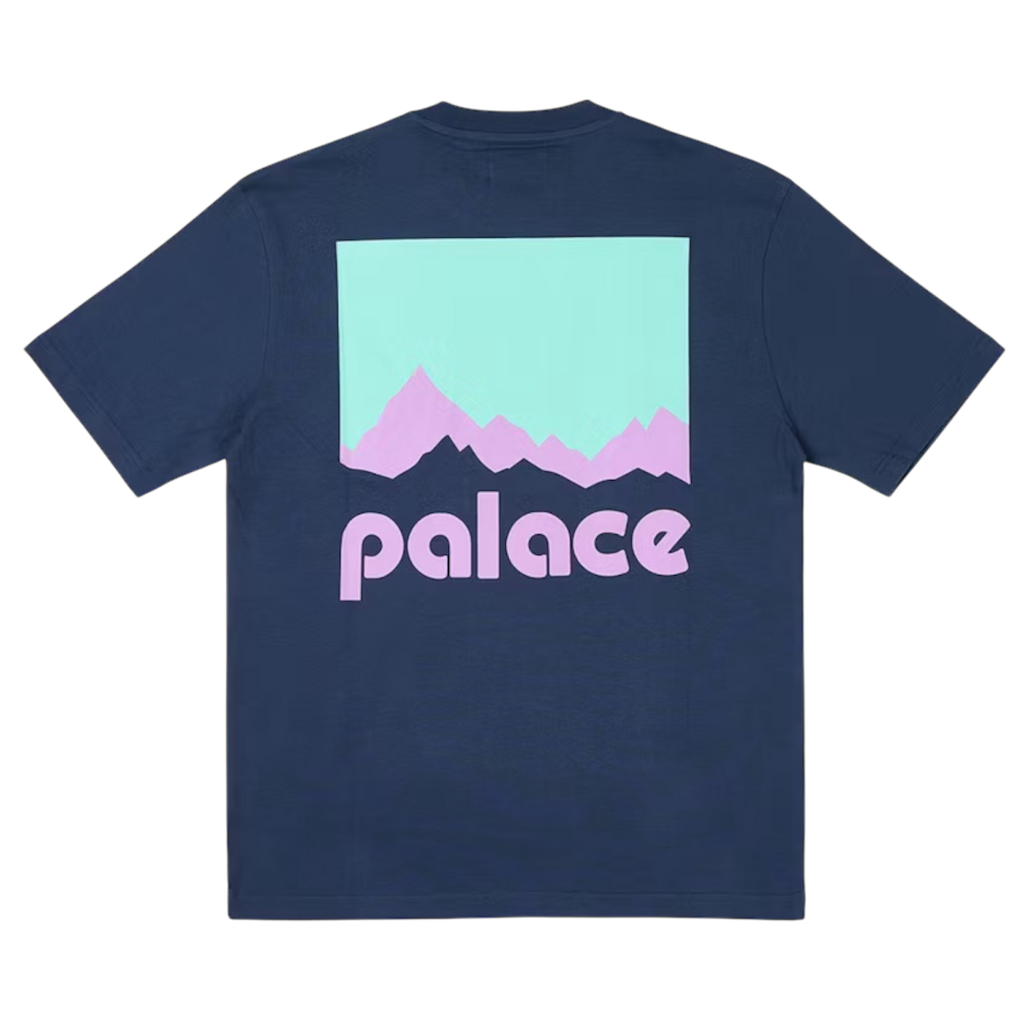 Palace Berghaus T-Shirt / Navy / XL
