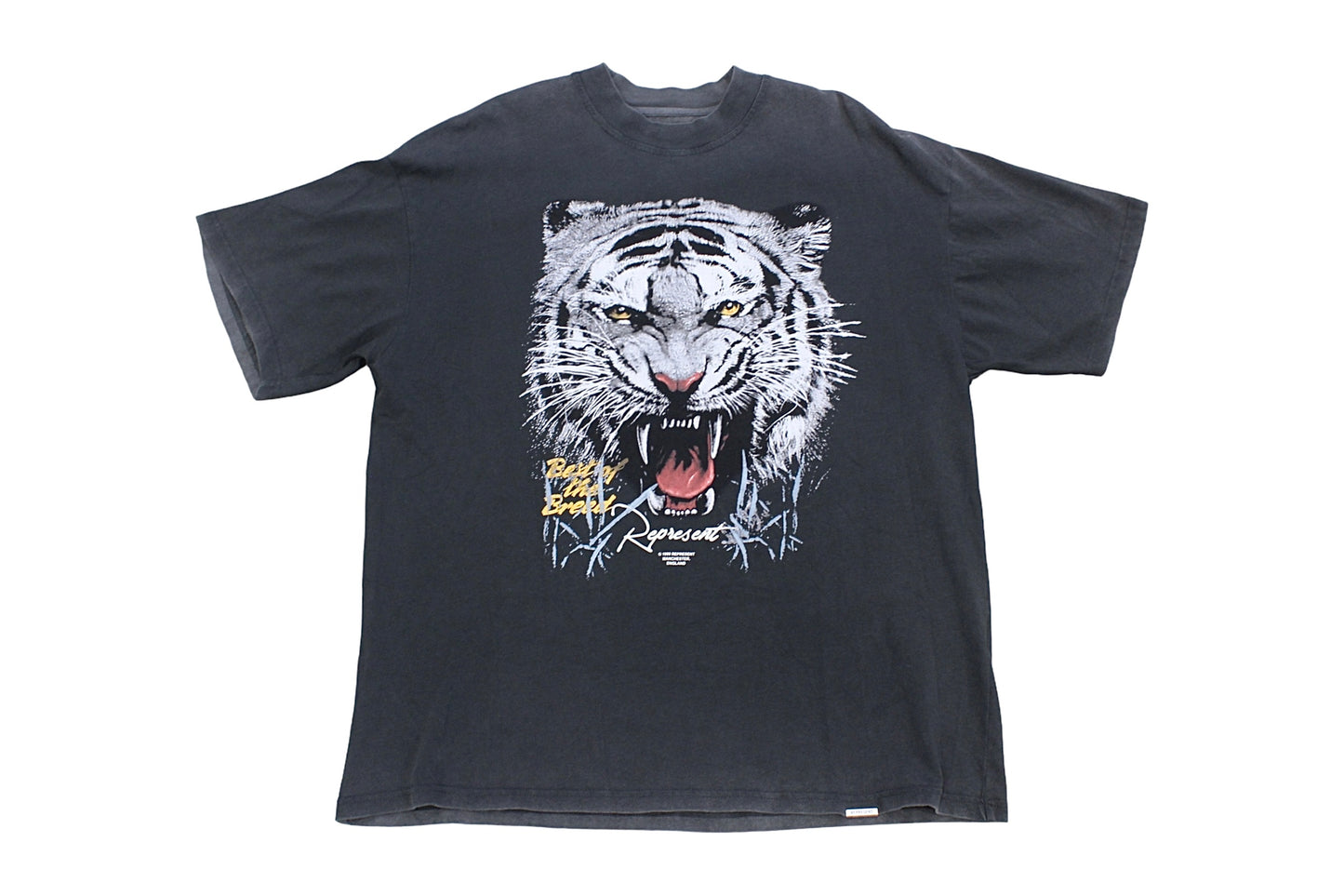 Represent Best of the Breed Grey T-Shirt