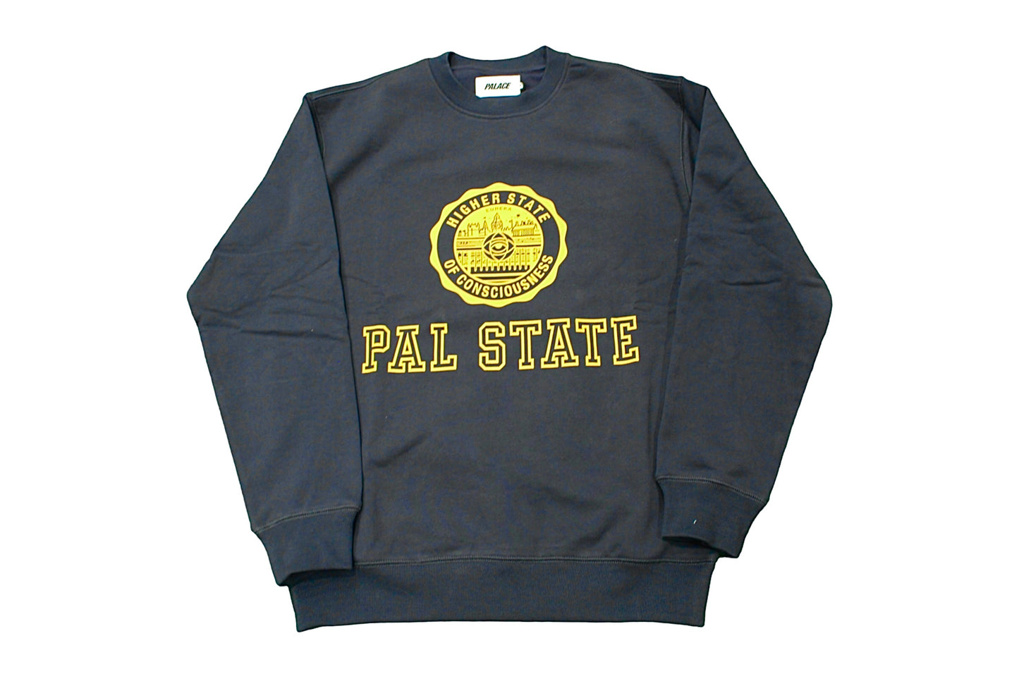 Palace State College Navy Jumper